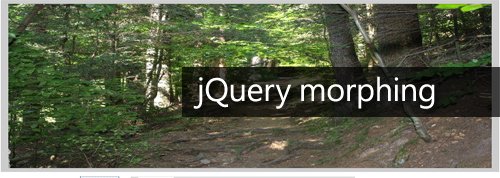 jQuery morphing gallery jQuery morphing gallery
