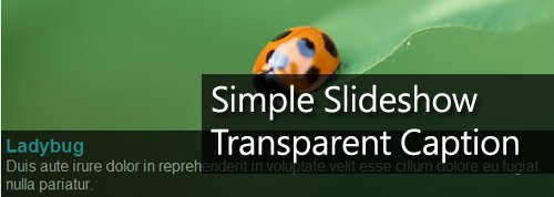 simple_transparent