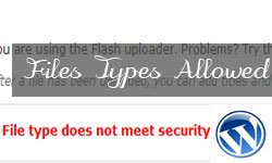 WordPress – File type does not meet security guidelines. Try another. Error